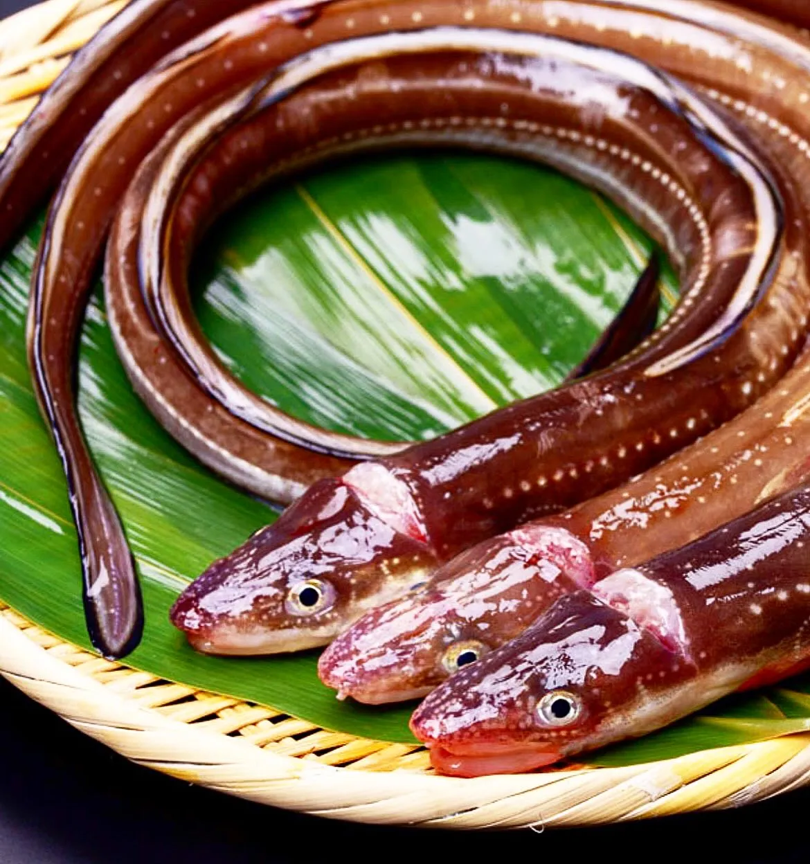 こんにちは、天ぷらの美食家の皆様！当店自慢の「穴子の天ぷら」...