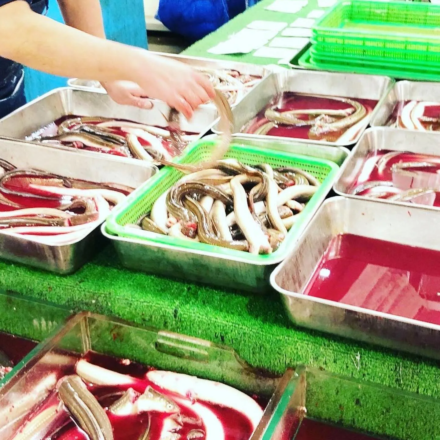 本日は、豊洲市場に新年のご挨拶に行ってまいりました。