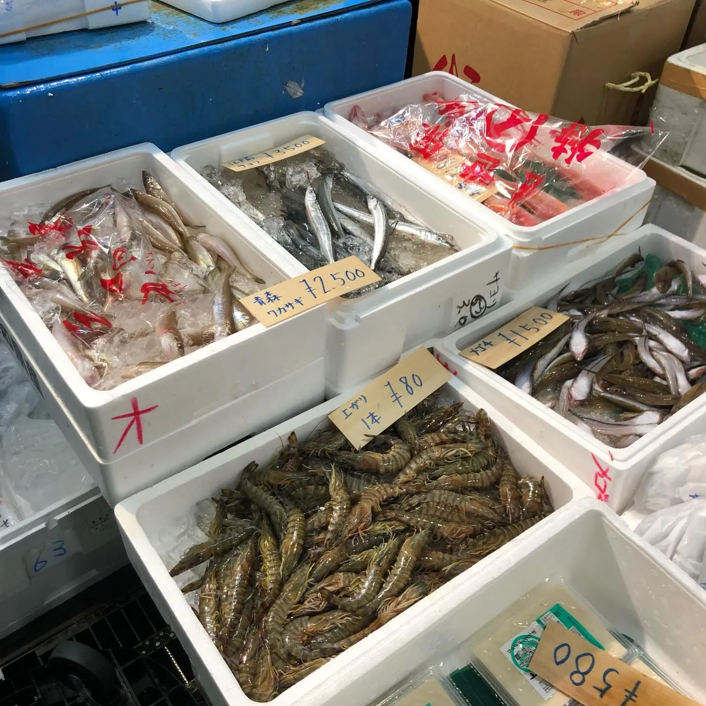 本日は、豊洲市場に新年のご挨拶に行ってまいりました。