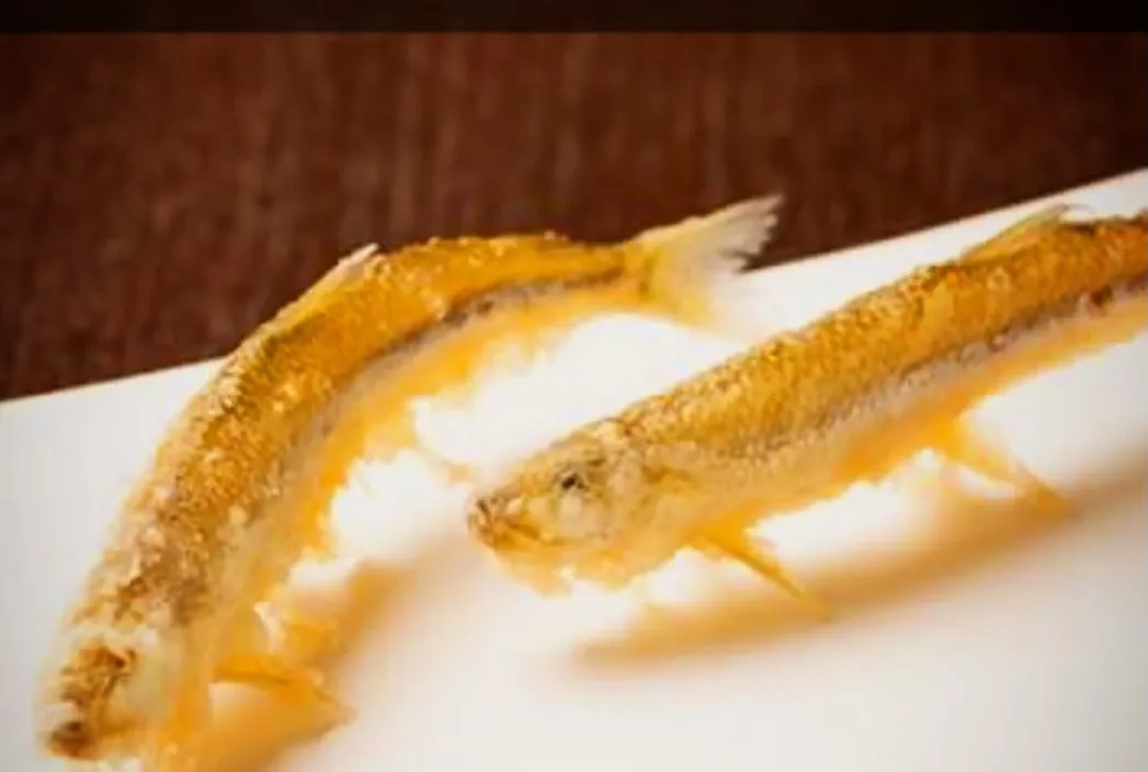 天ぷら専門店、天秀でございます。