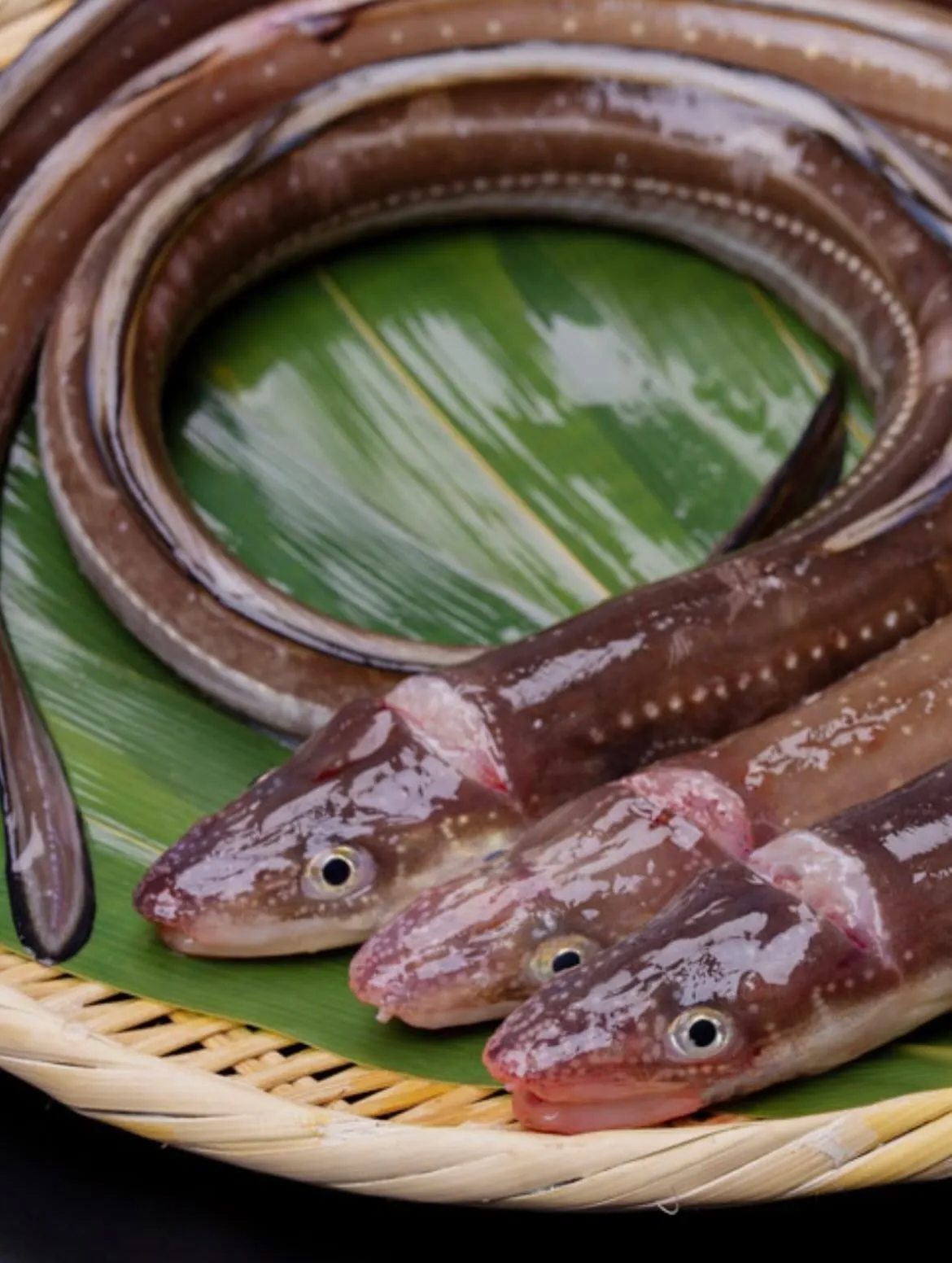 西新宿にてお待ちしております、天ぷら天秀です。