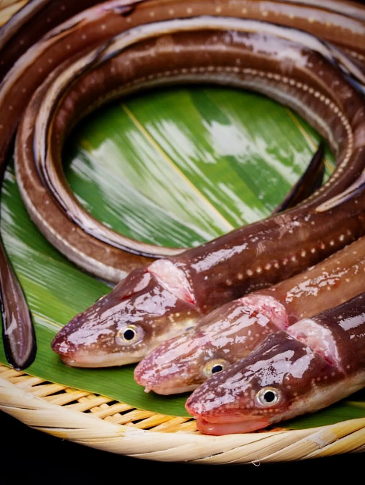 西新宿の天ぷら店「天秀」です。