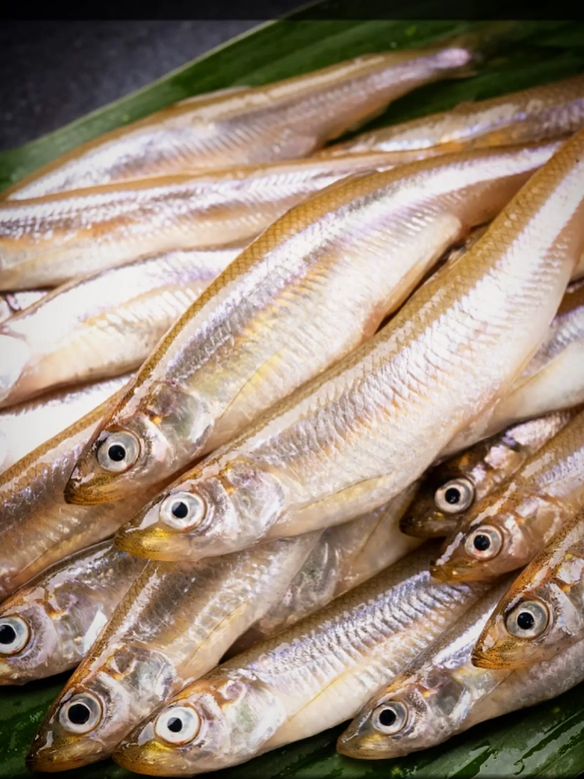 西新宿の天ぷら店「天秀」です。