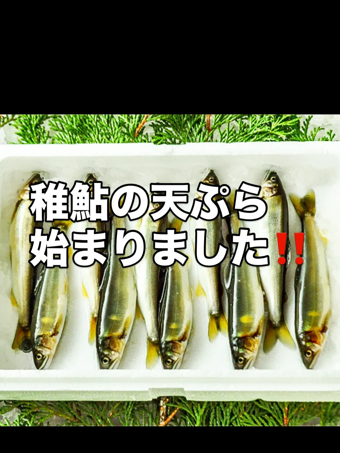 皆さま、こんにちは！西新宿の「天ぷら天秀」です。