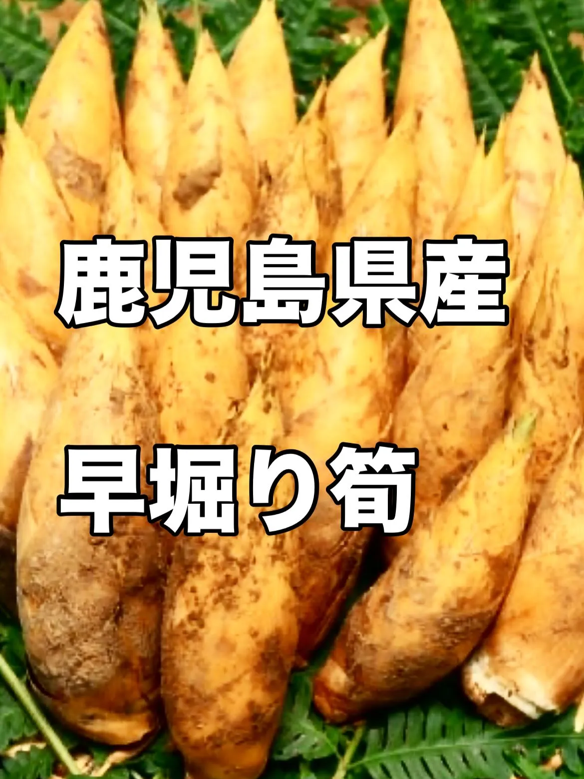 西新宿の天ぷら天秀です。