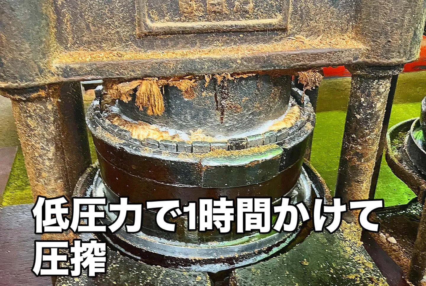 西新宿の天ぷら天秀です。