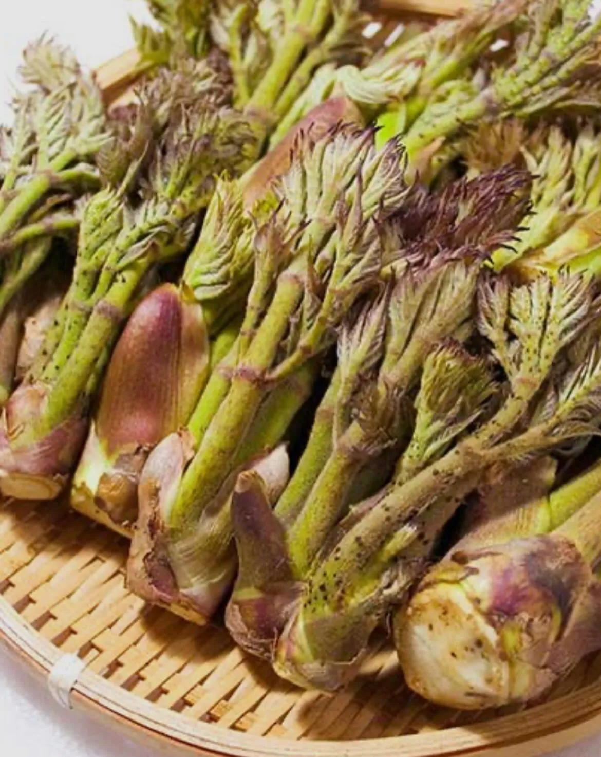 西新宿の天ぷら天秀です。