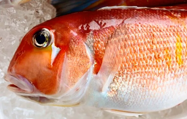 西新宿の天ぷら天秀です。