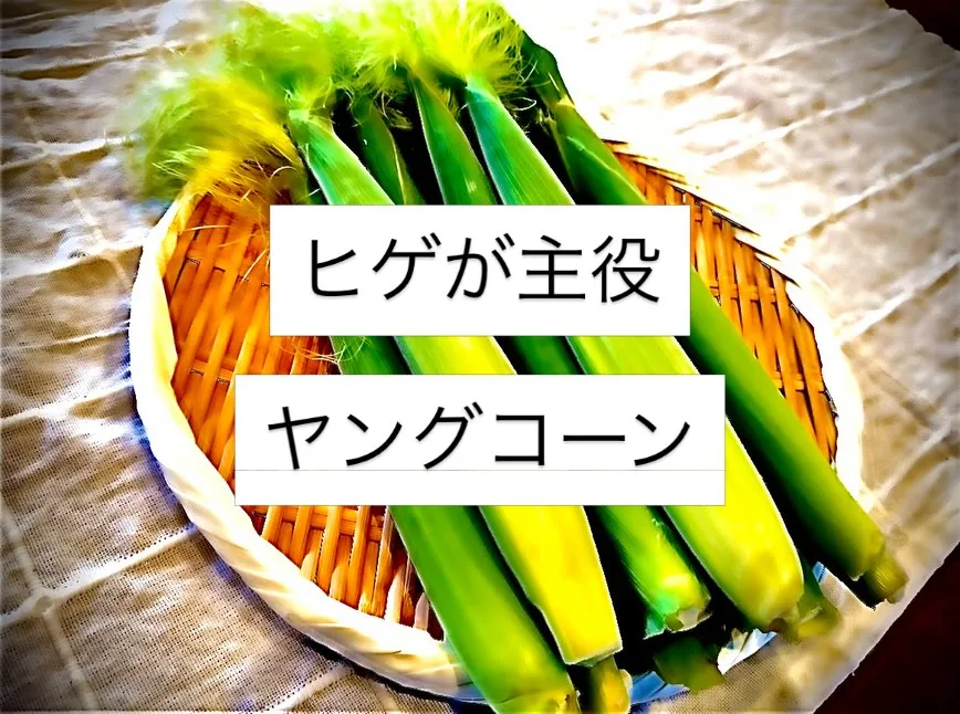 西新宿天ぷら天秀です。