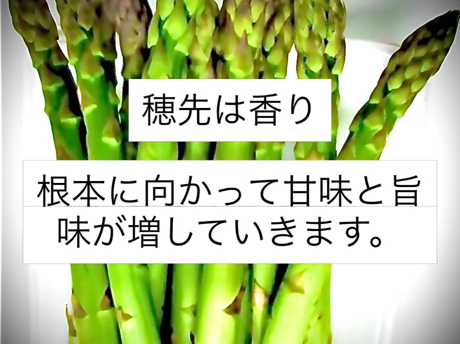 西新宿天ぷら天秀です。