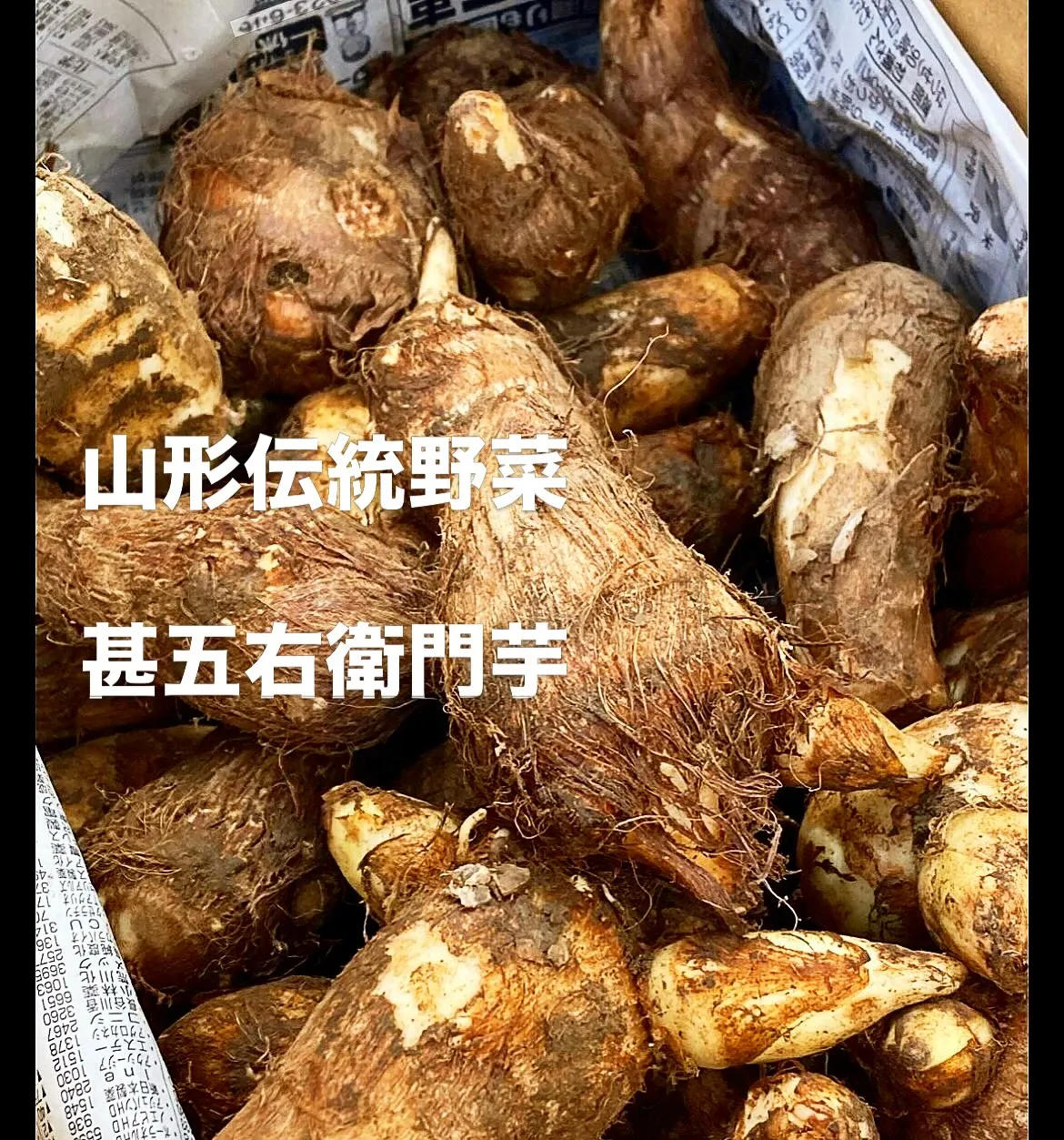 西新宿 天ぷら 天秀です。