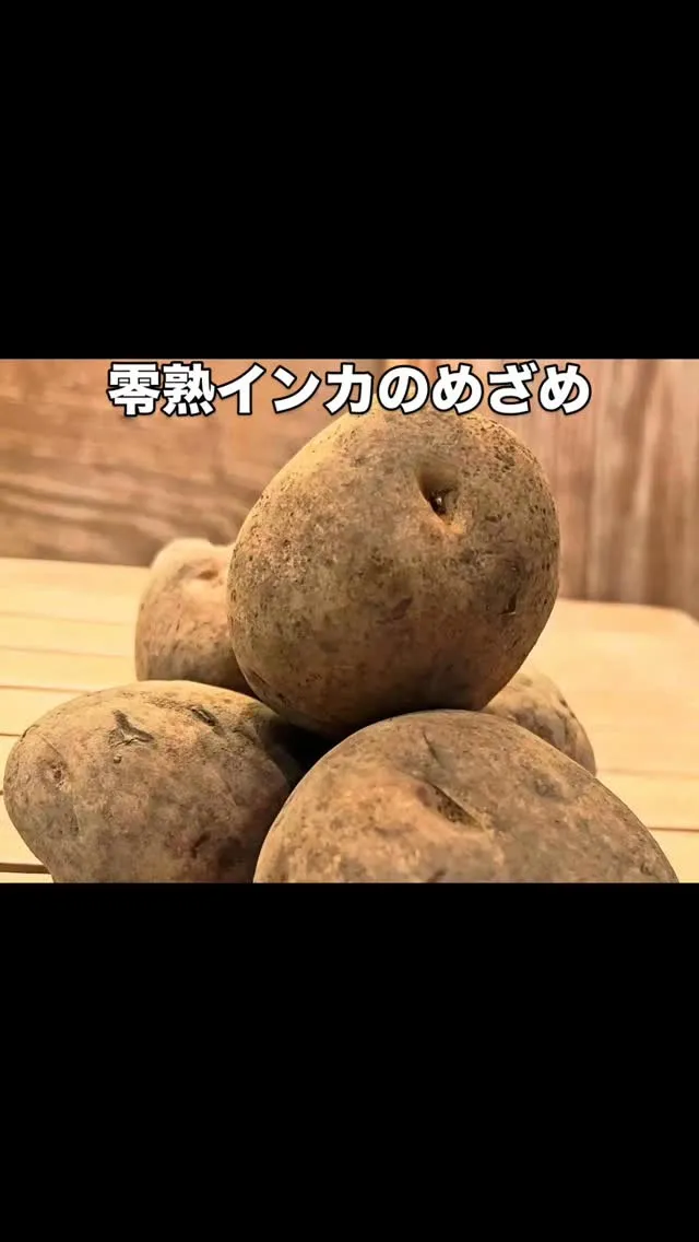 西新宿天ぷら天秀です。